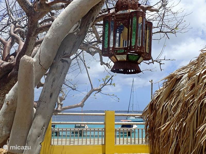 Ferienwohnung Bonaire, Bonaire, Kralendijk Appartement Lagadishi Kas Hamaka