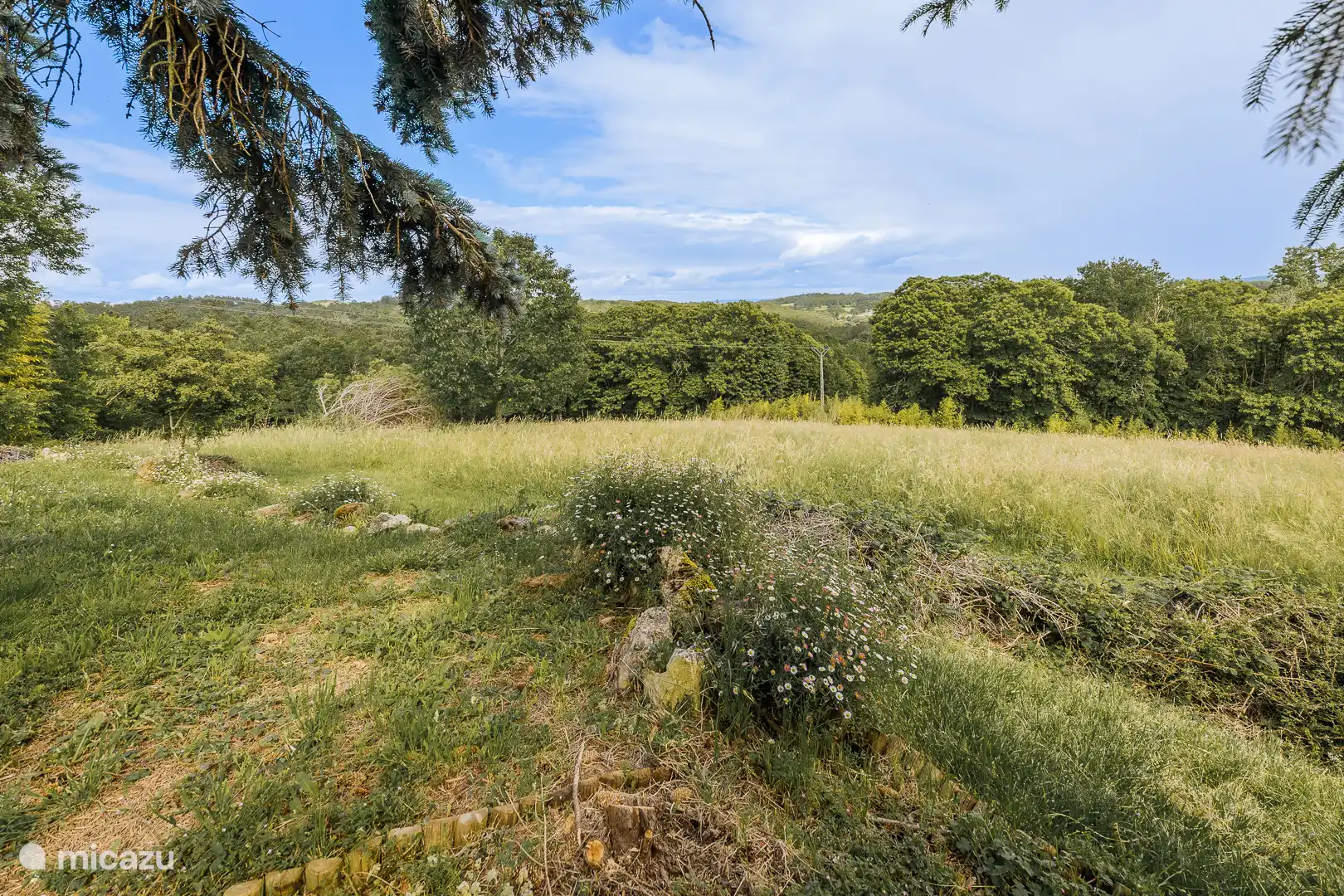 Jardín