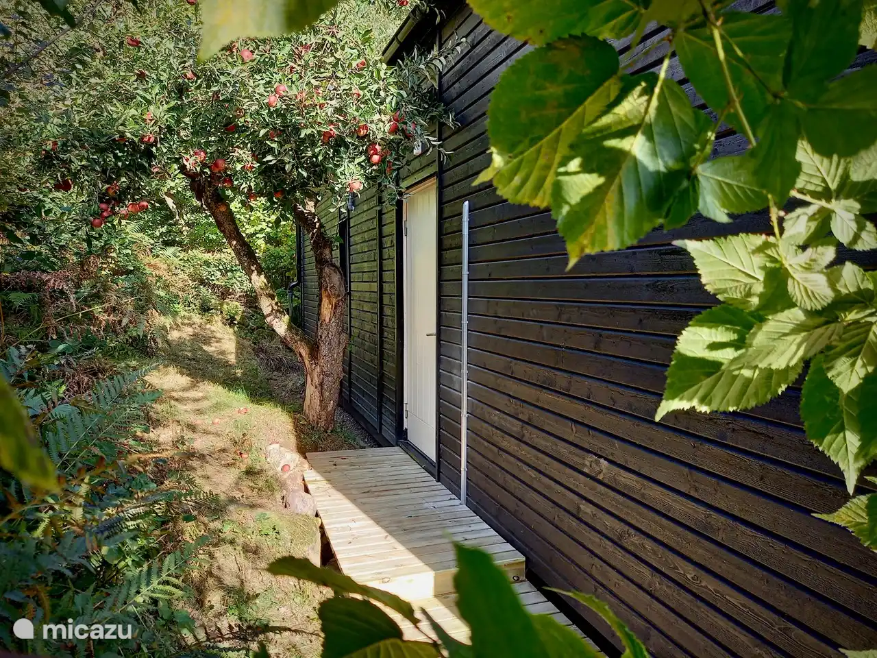 Die Eingangstür, leicht versteckt hinter dem wunderschönen Apfelbaum mit leckeren Äpfeln der alten Sorte Ingrid-Marie.