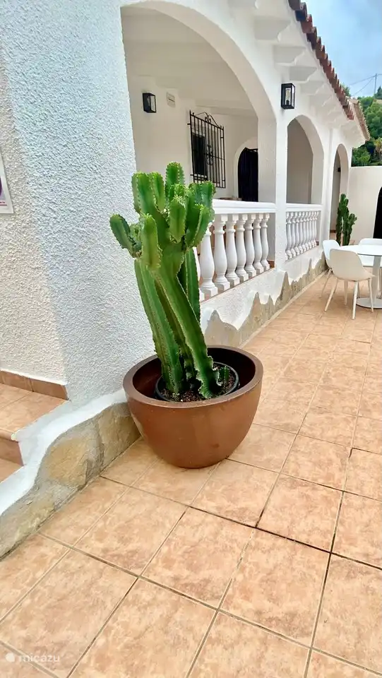 Gartentisch 5 Stühle - Sonnenschirm