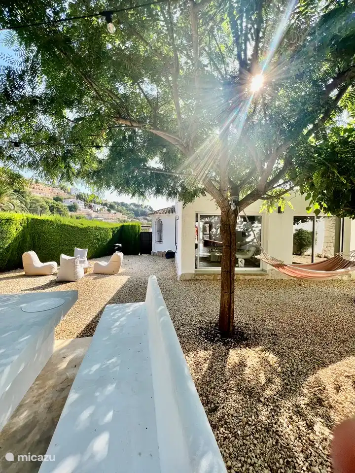 Hinterhof mit vielen schattigen Bereichen, Olivenbaum