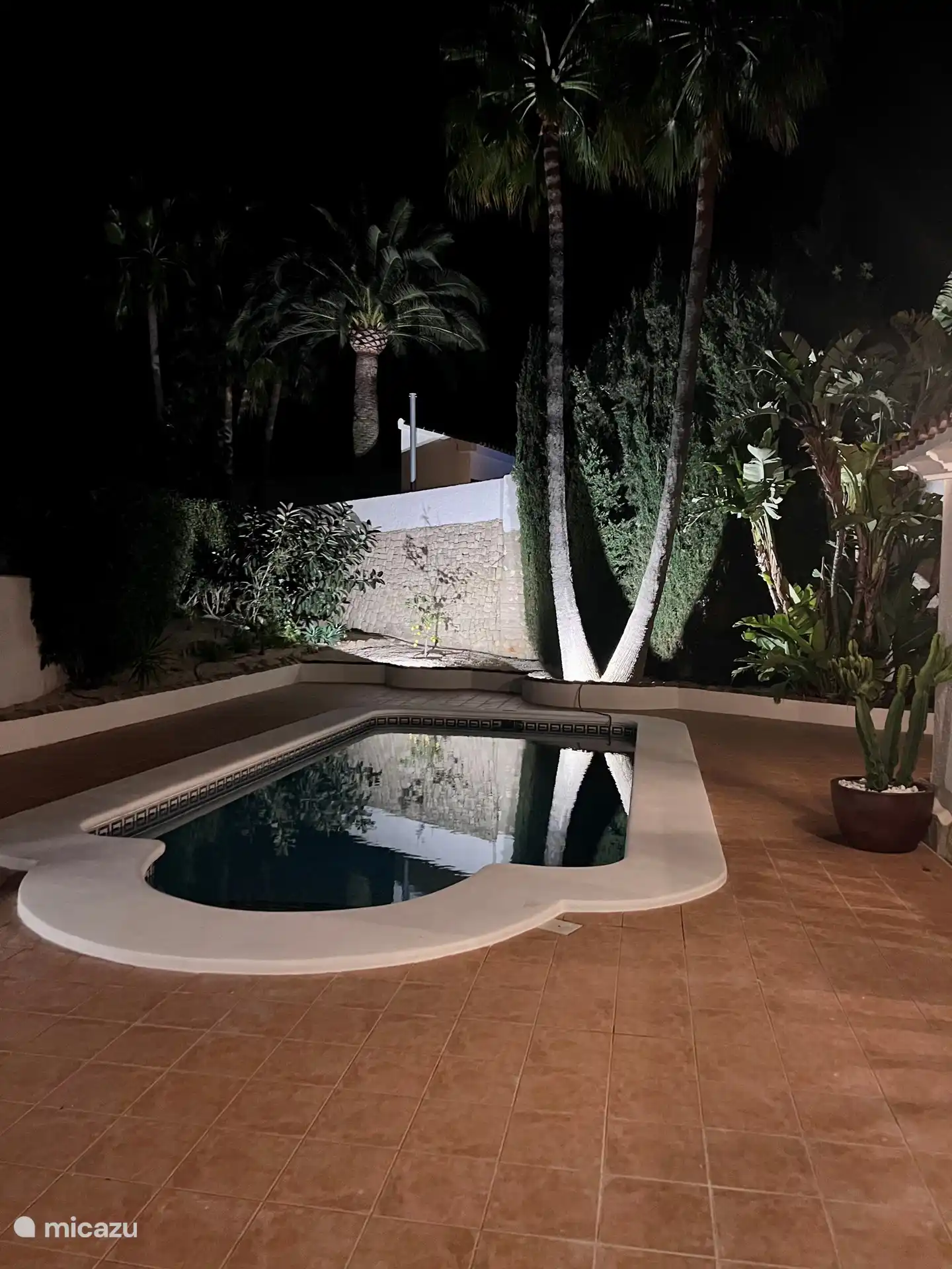 Scheinwerfer auf den Palmen neben dem Pool. Erneuerter Schwimmbadrand