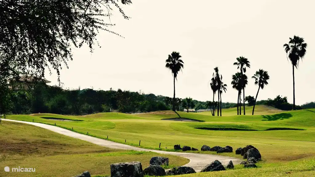 Umwelt und Aktivitäten