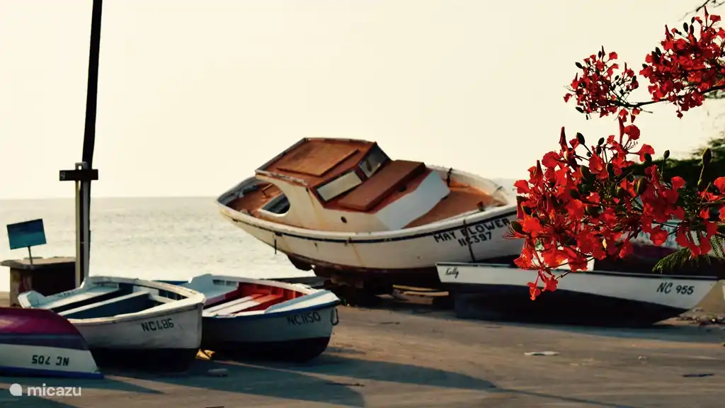 Umwelt und Aktivitäten