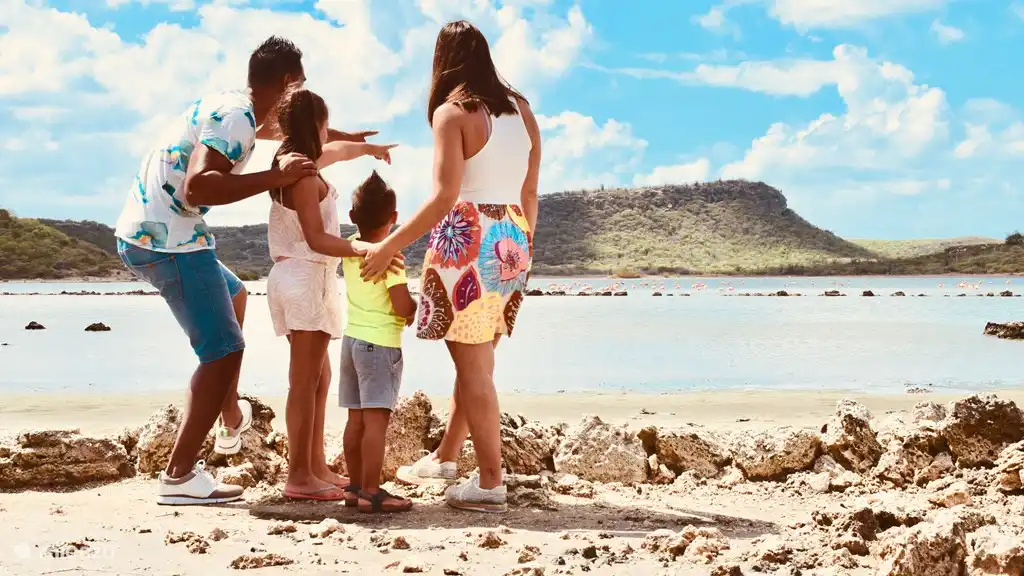 Umwelt und Aktivitäten