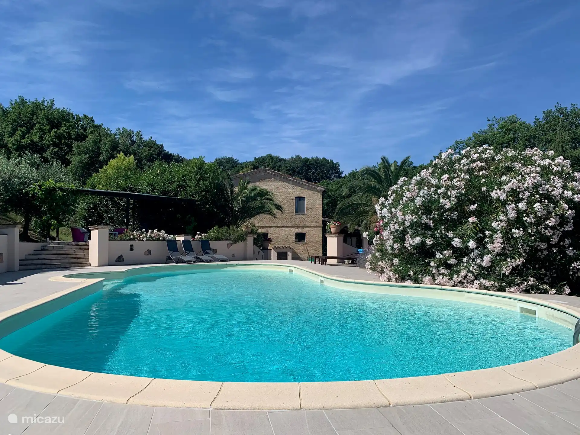 Schwimmbad mit schattiger Terrasse