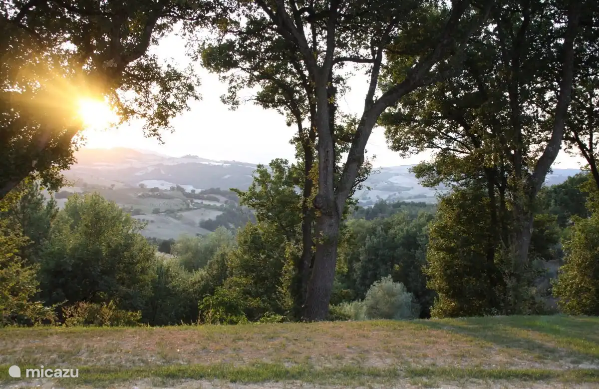 Blick von unten auf den Portikus