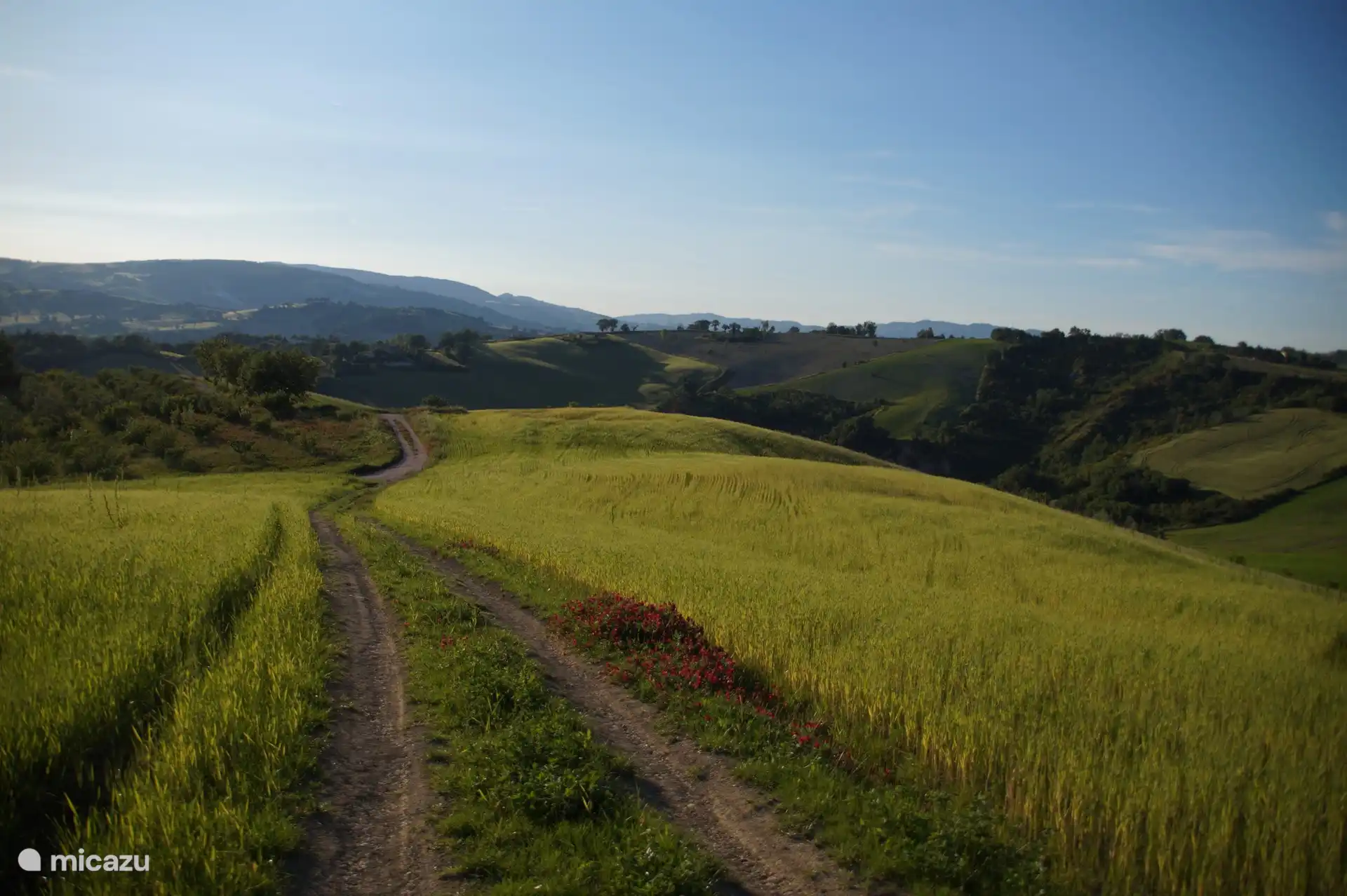 kleine Straße neben dem Haus