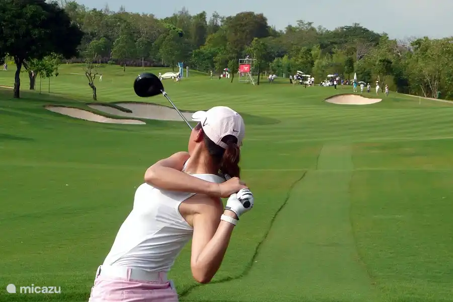 Suficientes clubes de golf en la zona.