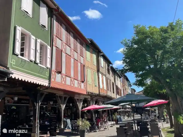 Villa de vacances 88 | France, Ariège, Daumazan-sur-Arize - villa Mirepoix, vaut vraiment le détour