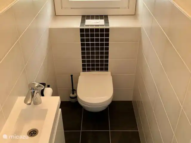 Villa de vacances 88 | France, Ariège, Daumazan-sur-Arize - villa WC séparé au rez-de-chaussée.