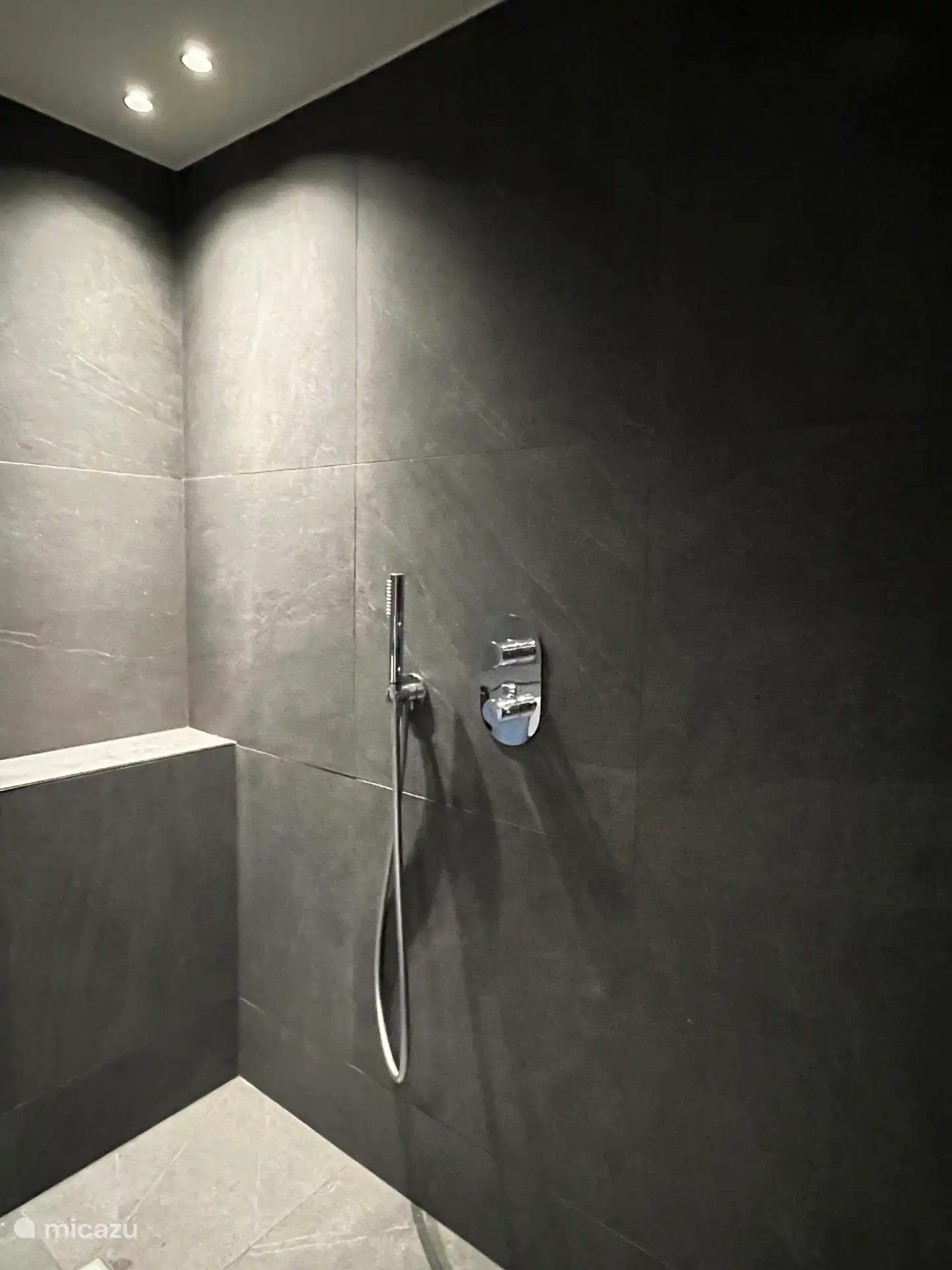salle de bain avec douche 'Wellness'