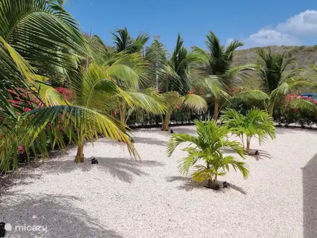 Villa Awa Blou vue mer/au vent | Curaçao, Banda Abou (ouest), Fontein - villa Maison arrière.