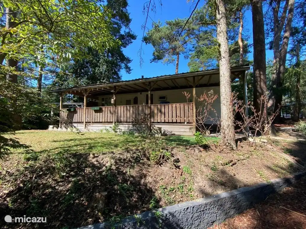 chalet, Raalte, Overijssel, Niederlande - Chalet 39 De Squirrel