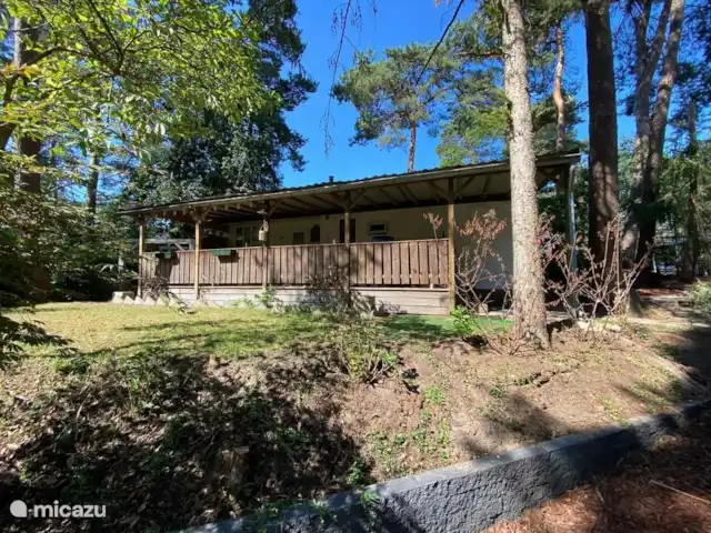 Chalet 39 De l'Écureuil | Pays-Bas, Overijssel, Raalte - chalet Chalet 39 De l'Écureuil | Pays-Bas, Overijssel, Raalte - chalet