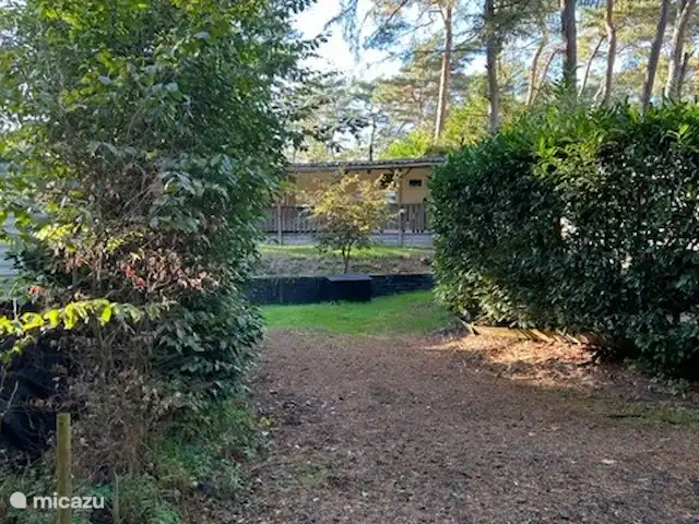 Chalet 39 De l'Écureuil | Pays-Bas, Overijssel, Raalte - chalet Entrée pour 2 voitures