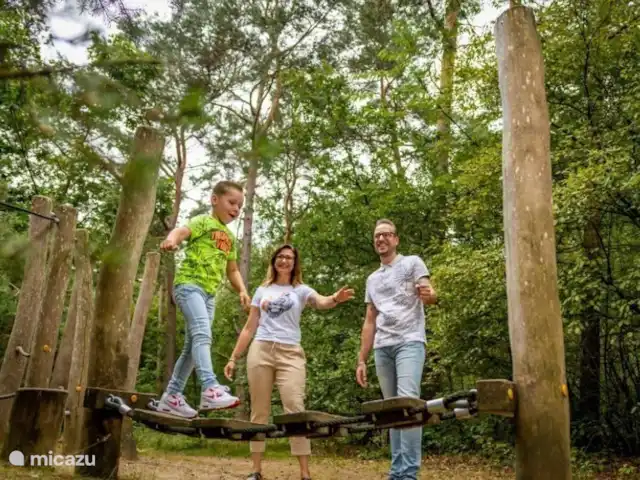 Chalet 39 De l'Écureuil | Pays-Bas, Overijssel, Raalte - chalet Parcours ludique en forêt de 3 km