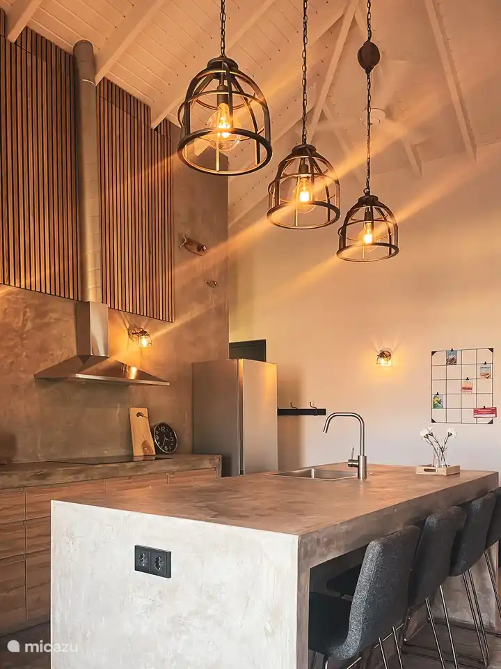 Belle grande cuisine avec plaque à induction, lave-vaisselle, four et micro-ondes