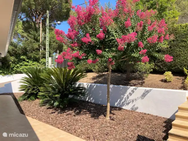 Vila Golf Costa Brava | Espagne, Costa Brava, Santa Cristina d'Aro - villa Cour avant