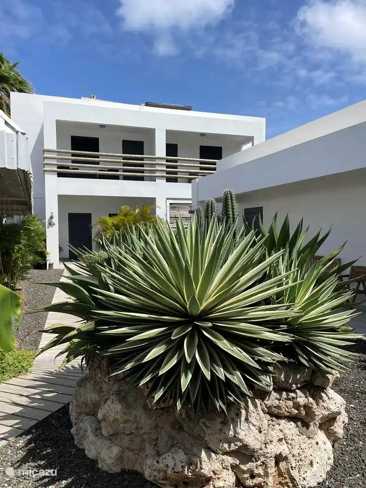 appartement huren in Spaanse Water, Banda Ariba (oost), Curaçao - BohoGarden B - Fully airconditioned