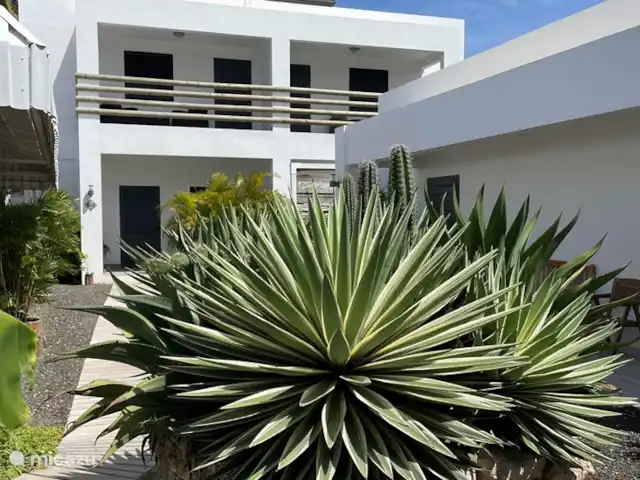 BohoGarden B - Fully airconditioned huren in Curaçao, Banda Ariba (oost), Jan Thiel - appartement BohoGarden B - Fully airconditioned huren in Curaçao, Banda Ariba (oost), Jan Thiel - appartement