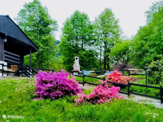 Chalet Monterosa huren in Italië, Piëmont, Bannio Anzino - vakantiehuis tuin