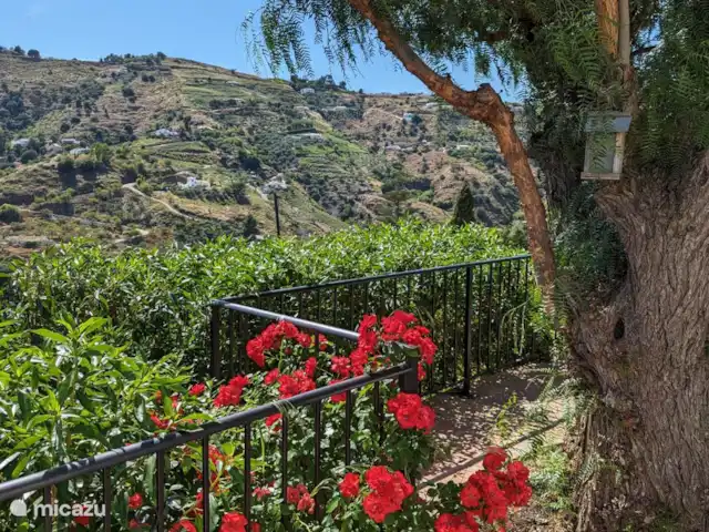 vakantiehuis huren in Spanje, Andalusië, Cómpeta – Finca Galliano Uitbundig bloeiende rozen langs de balustrade van het terras benenen aan het huis.
