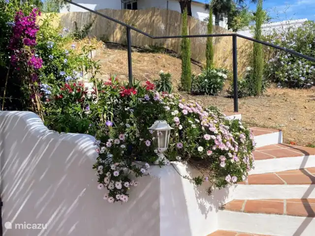 vakantiehuis huren in Spanje, Andalusië, Cómpeta – Finca Galliano Volop bloemen