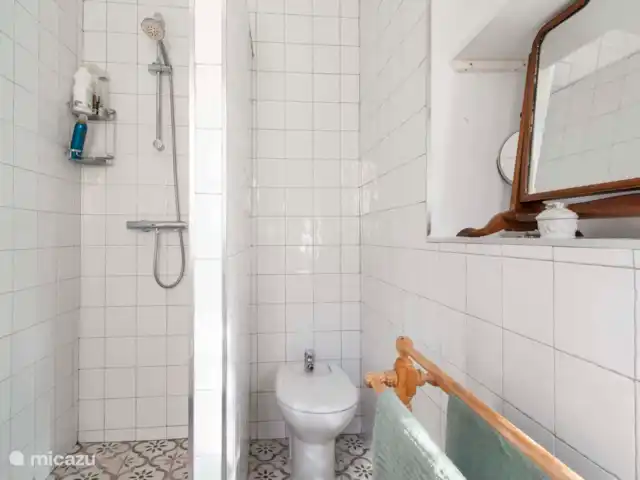 vakantiehuis huren in Spanje, Andalusië, Cómpeta – Finca Galliano Badkamer bij de master bedroom met douche, bidet, wastafel en WC