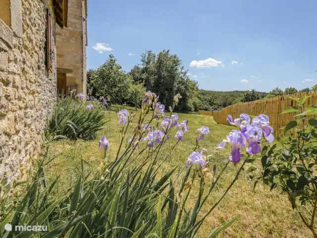 Puymilanne | France, Dordogne, Génis - maison de vacances Le jardin