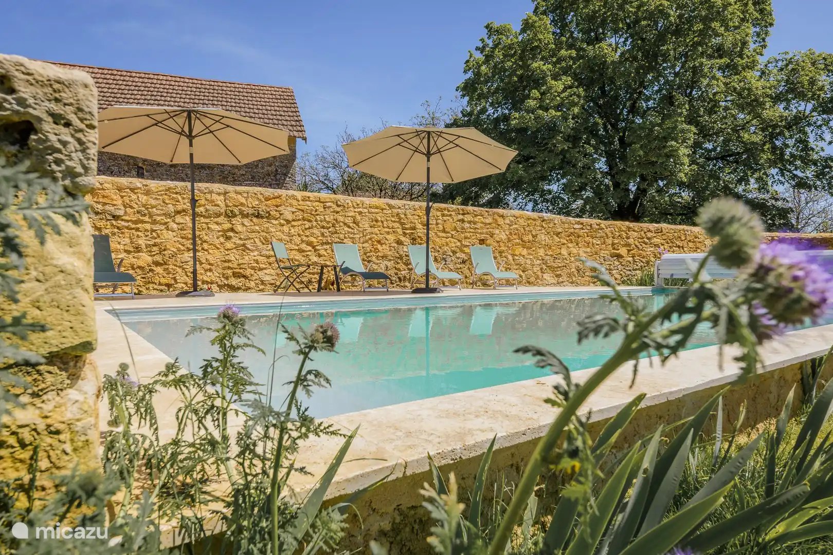 Schwimmbad mit Sonnenschirmen und Liegestühlen