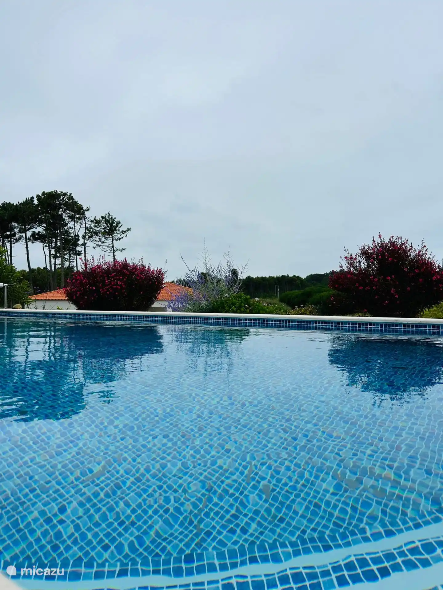 Jardim da Lucia huren in Portugal, Costa de Prata, Serra Do Bouro - Villa