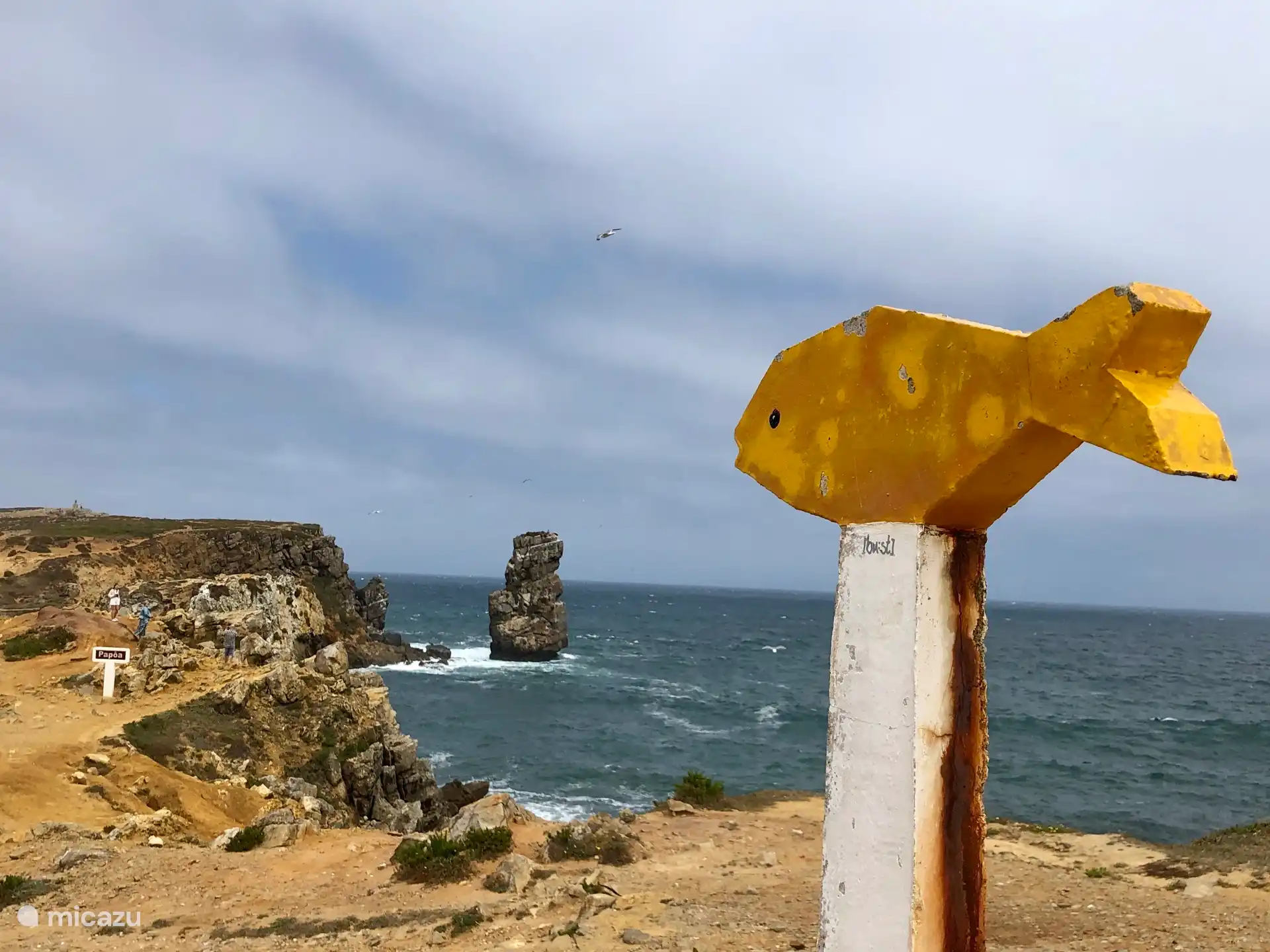 Jardim da Lucia huren in Portugal, Costa de Prata, Serra Do Bouro - Villa