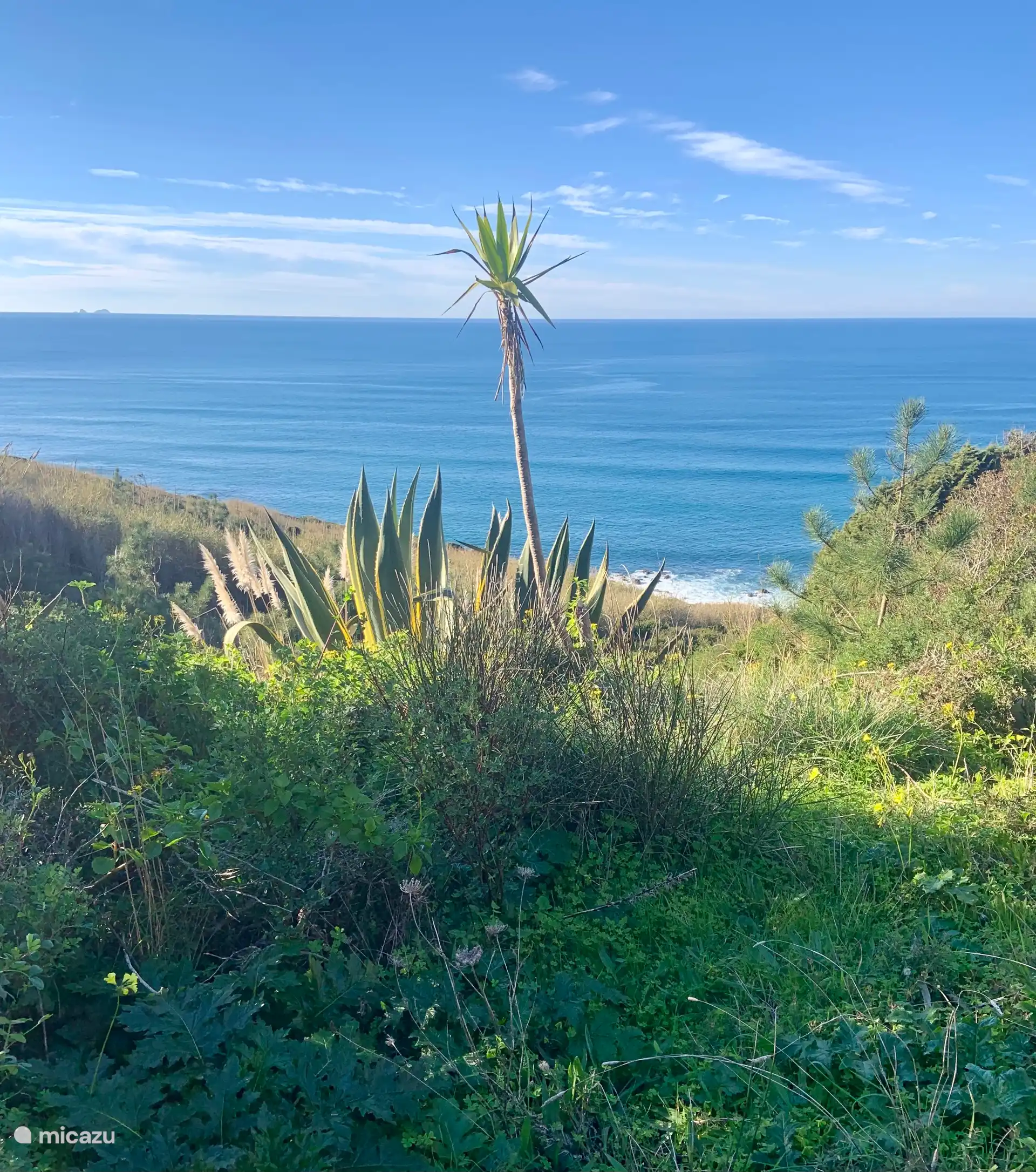 Jardim da Lucia huren in Portugal, Costa de Prata, Serra Do Bouro - Villa