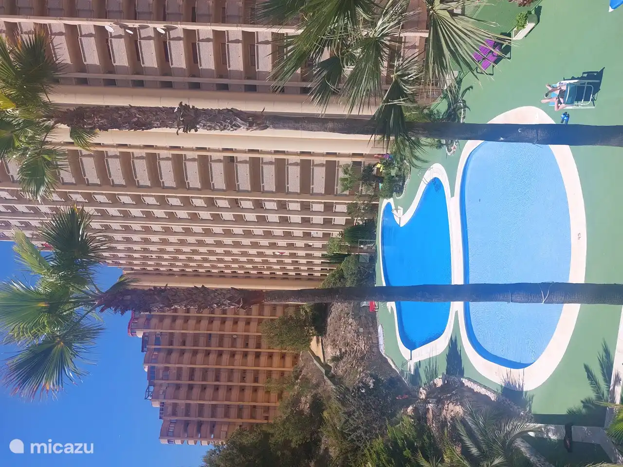 Casa Viena in Spanien, Costa Blanca, Benidorm - Appartement