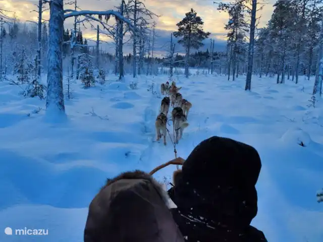 Maison de vacances Högberget | Suède, Jämtland, Föllinge - maison de vacances