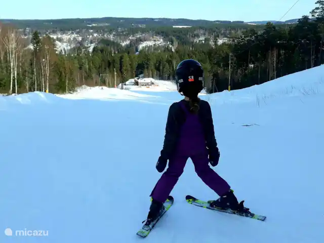 Maison de vacances Högberget | Suède, Jämtland, Föllinge - maison de vacances