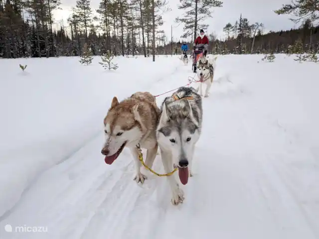 Maison de vacances Högberget | Suède, Jämtland, Föllinge - maison de vacances