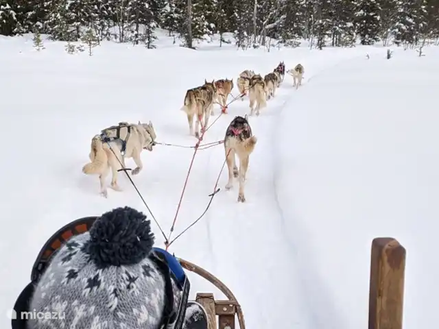 Maison de vacances Högberget | Suède, Jämtland, Föllinge - maison de vacances