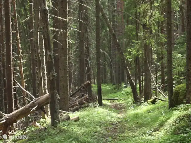 Maison de vacances Högberget | Suède, Jämtland, Föllinge - maison de vacances