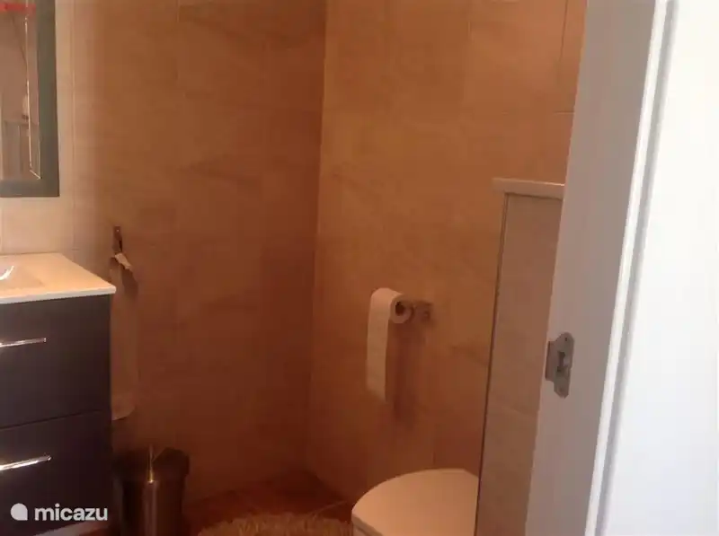 Baño independiente con lavabo, ducha e inodoro flotante.