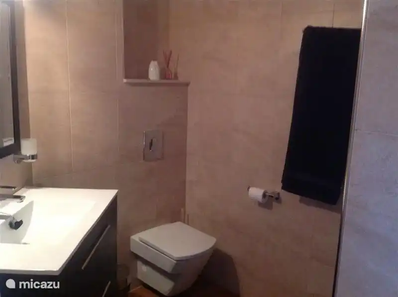 Baño independiente con lavabo, ducha e inodoro flotante.