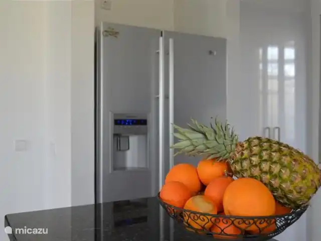 Casa Lucero II huren in Spanje, Costa Blanca, Rojales - vakantiehuis keuken met amerikaanse koelkast