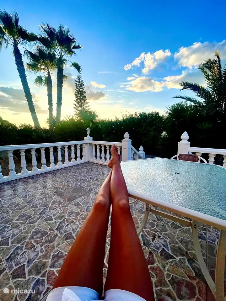 Die Veranda auf der Rückseite mit Blick auf die vielen Palmen