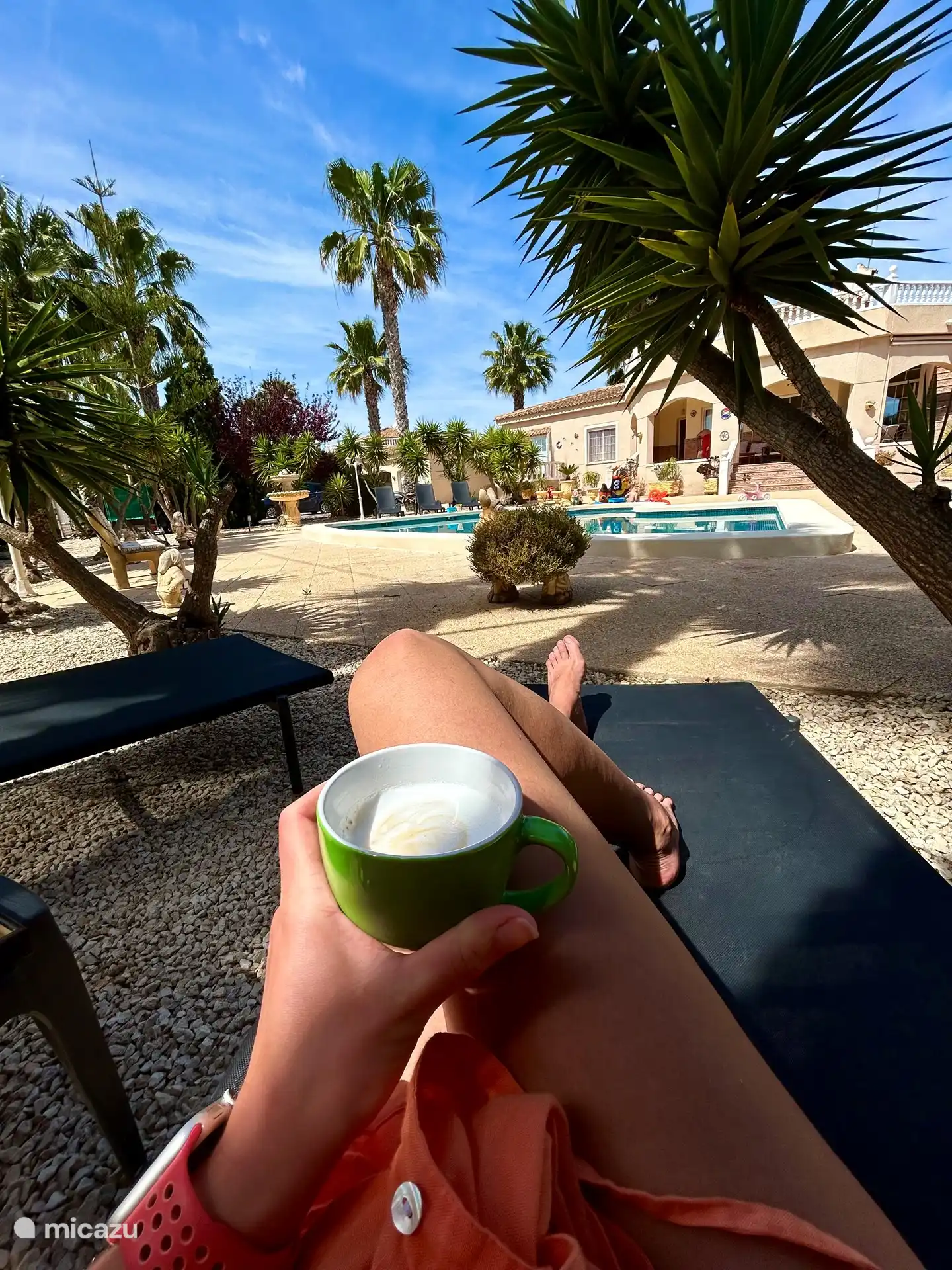 Liegen Sie unter den Palmen außerhalb der Sonne mit Blick auf den Garten und den Pool