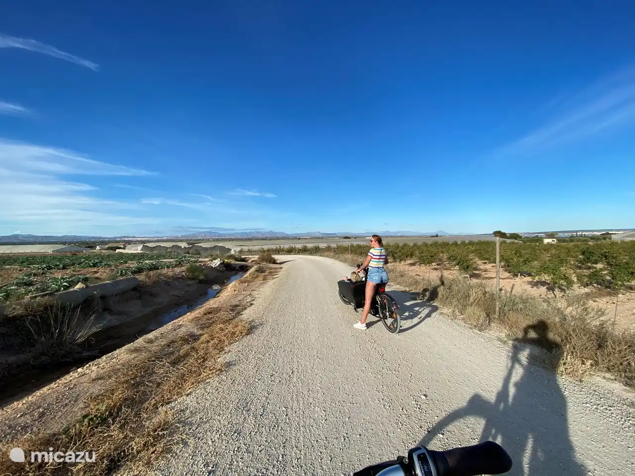Der Hinterhof des Hauses, in Elche gibt es noch so viel zu entdecken! Mit dem Fahrrad erreichbar können Sie schöne Aussichten, Spaziergänge in den vielen Naturparks und Salzseen, Strände und malerische authentische spanische Dörfer genießen. Tapas gefällig? 