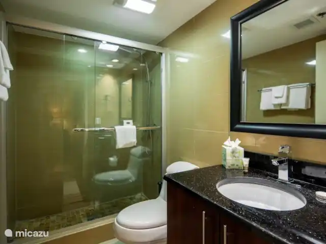 Divi Village Aruba  huren in Aruba, Noord, Palm Beach - appartement WC