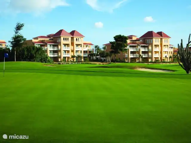 Divi Village Aruba  huren in Aruba, Noord, Palm Beach - appartement Golfbaan