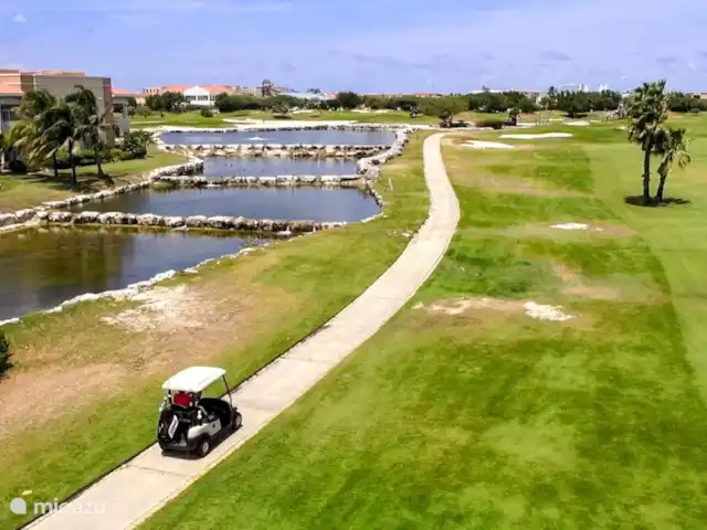 Divi Village Aruba  huren in Aruba, Noord, Palm Beach - appartement Driving range