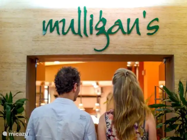 Divi Village Aruba  huren in Aruba, Noord, Palm Beach - appartement .